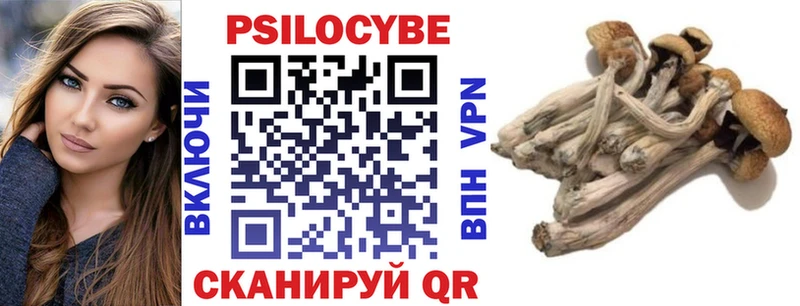 цена наркотик  Алдан  Галлюциногенные грибы Magic Shrooms 